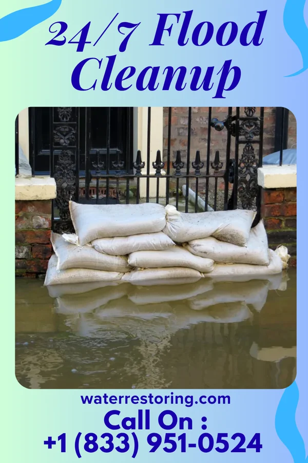 24/7 Flood Cleanup in Octa, OH