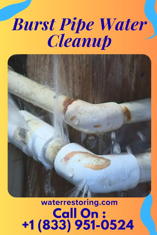 Burst Pipe Water Cleanup in Octa, OH