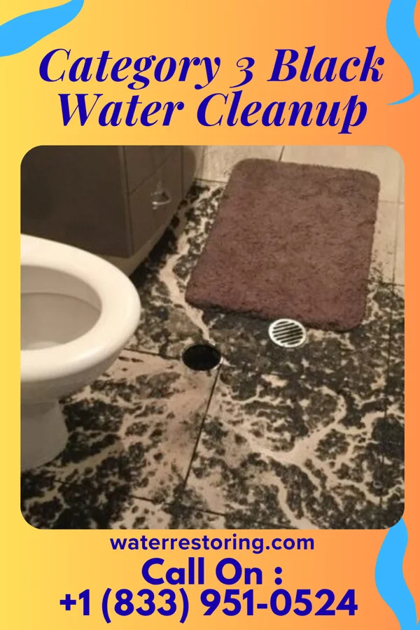 Category 3 Black Water Cleanup in Octa, OH