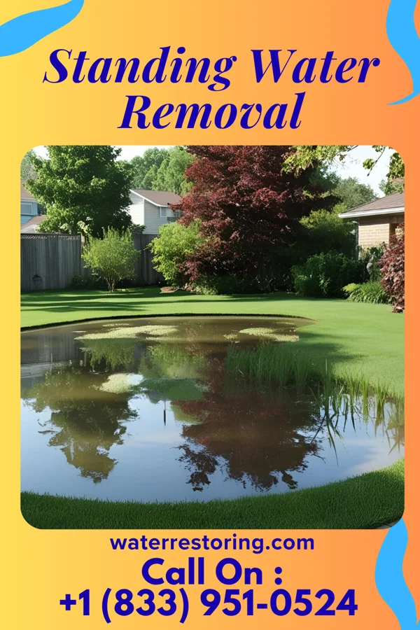 Standing Water Removal in Octa, OH